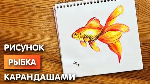 Как нарисовать рыбок поэтапно с фото для детей дошкольников