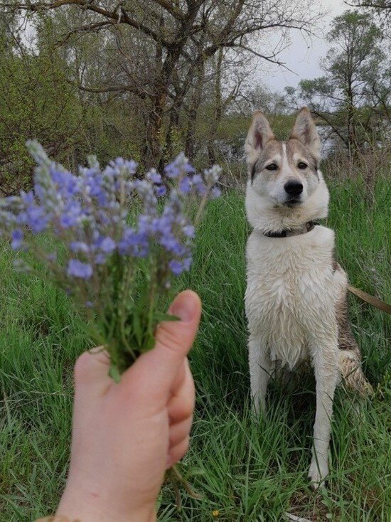     Теперь саратовцам запретили кормить или селить животных в подъездах, на чердаках или крышах. Фото: Екатерина Соколова