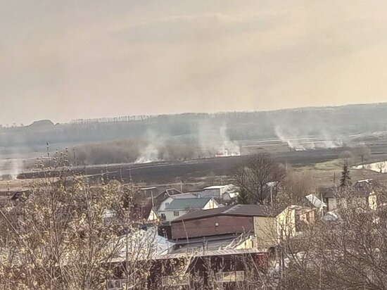     фото: "Тула Жесть"