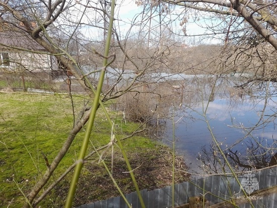     Фото: 67.mchs.gov.ru