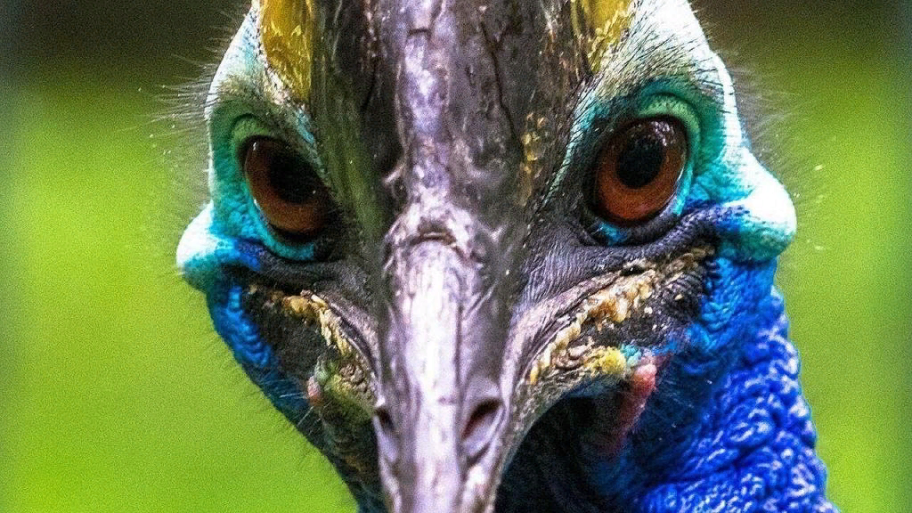 Ну привет! Начнем наш урок.