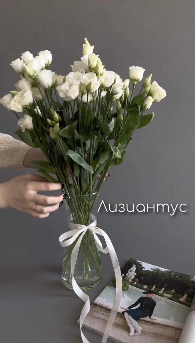 Самые стойкие цветы для дома. | _Olia_Store_ | Дзен