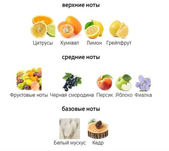 fragrantica.ru