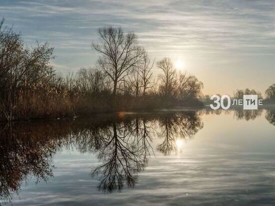     Фото: ИА "Татар-информ"