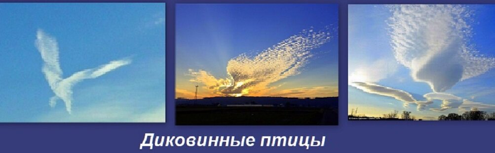  Облака напоминают перья птиц