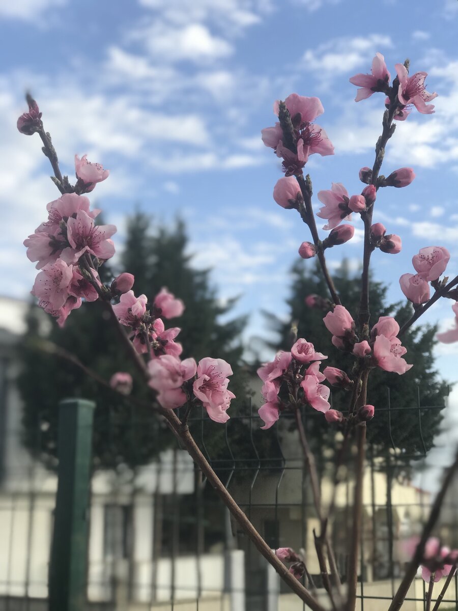 Фото сегодня не делала, так что ещё немного старых фотографий