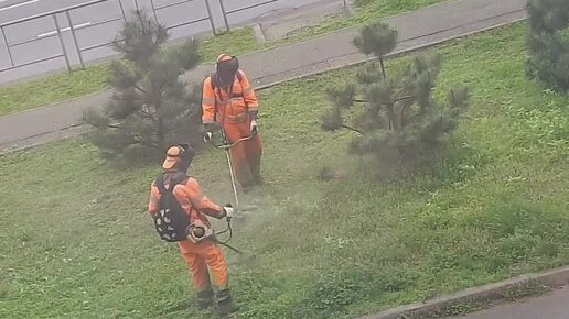 Не скучаем с Анной | Жуки прилетели?? Жужжат?? Люблю запах скошенной ...