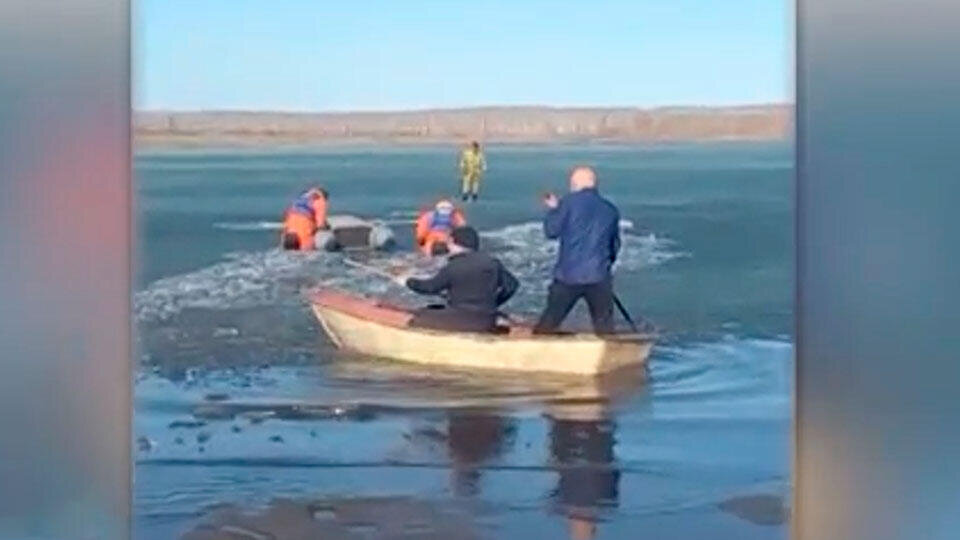 Фото: © Скриншот видео