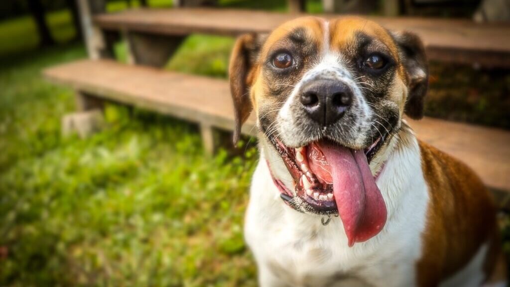 Просто очень хороший мальчик!