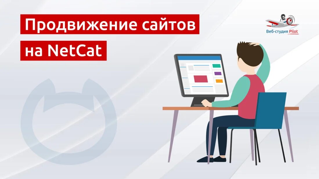 Продвижение сайтов книга. Netcat эмблема.