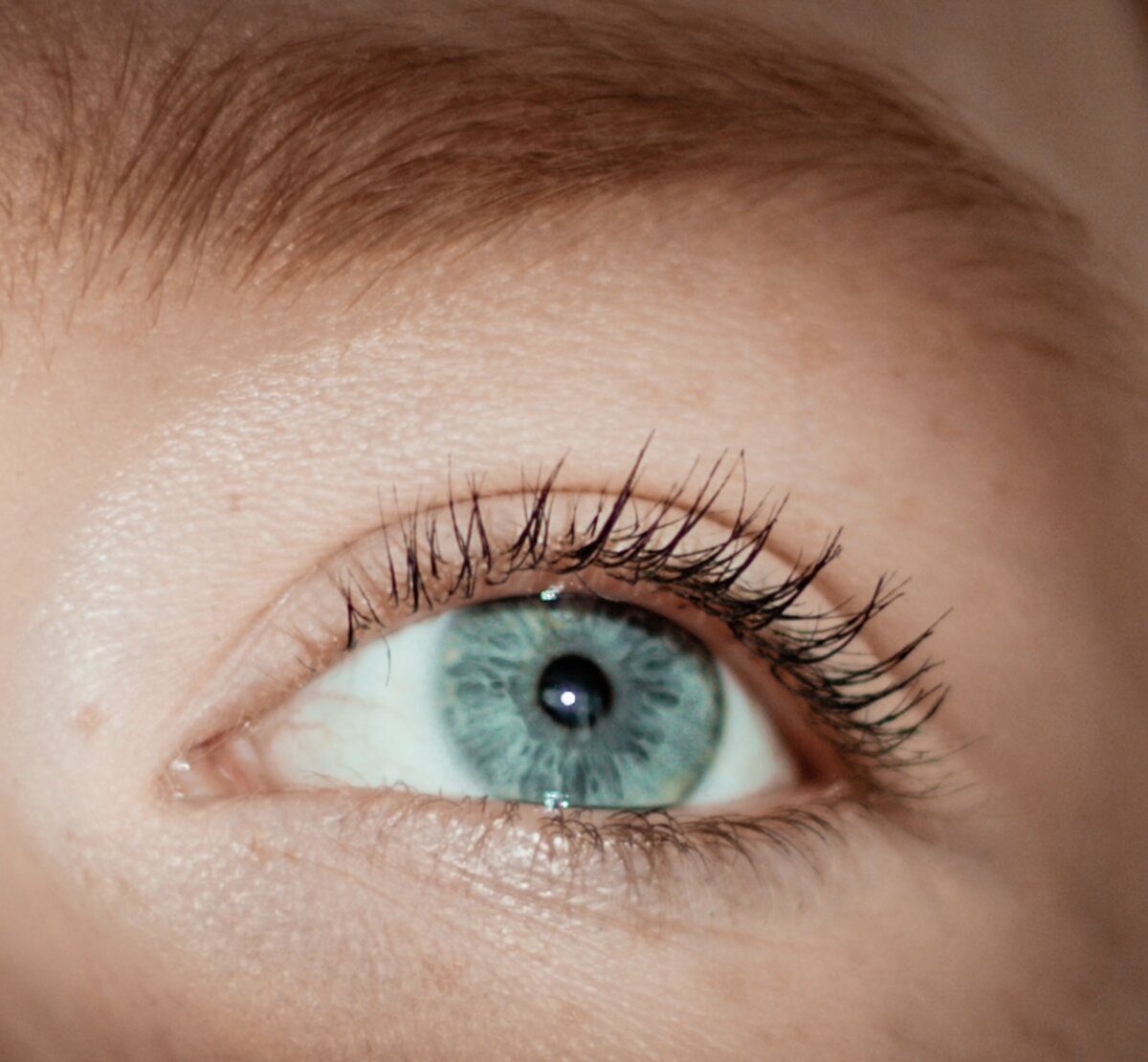 Источник unsplash.com