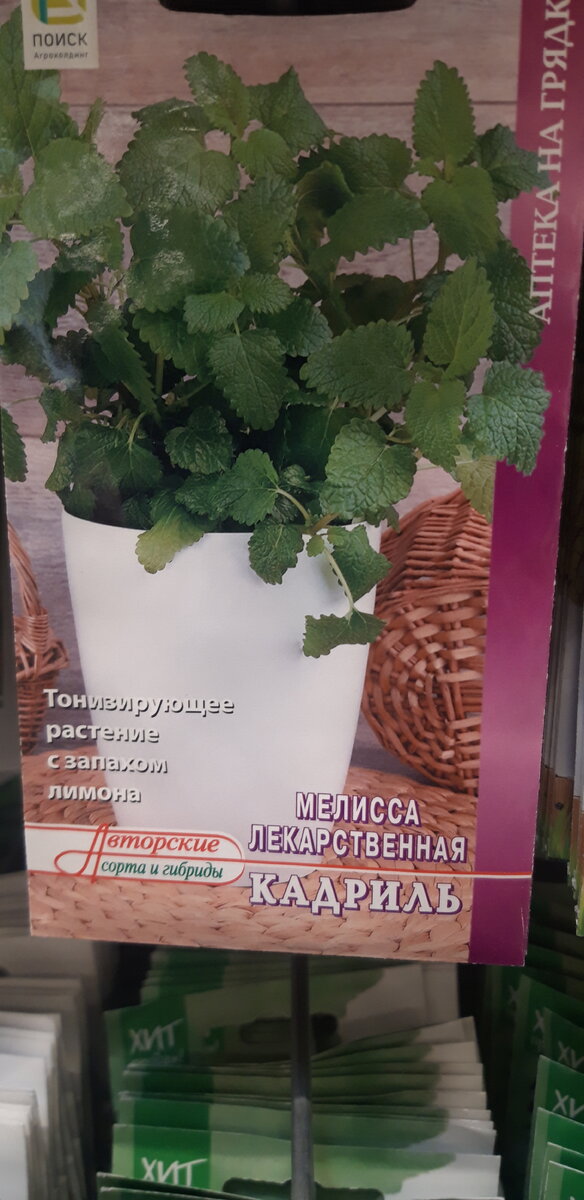 Фото Николая Страхова