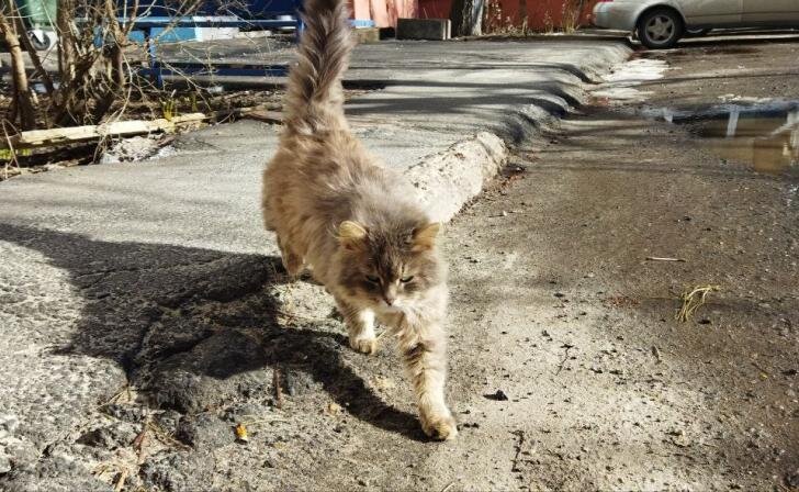    фото из архива Курских известий