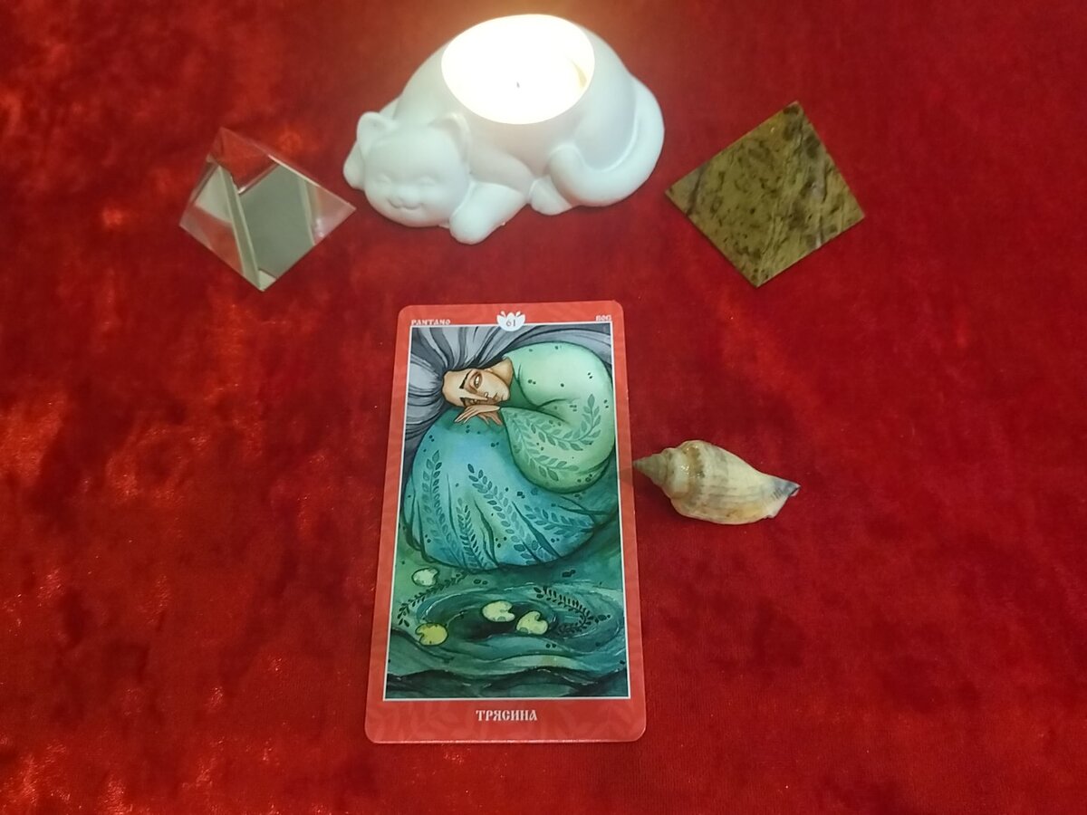 Фото автора.