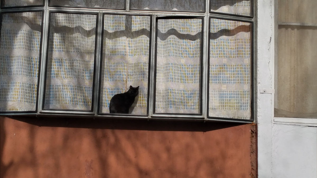 Фото автора