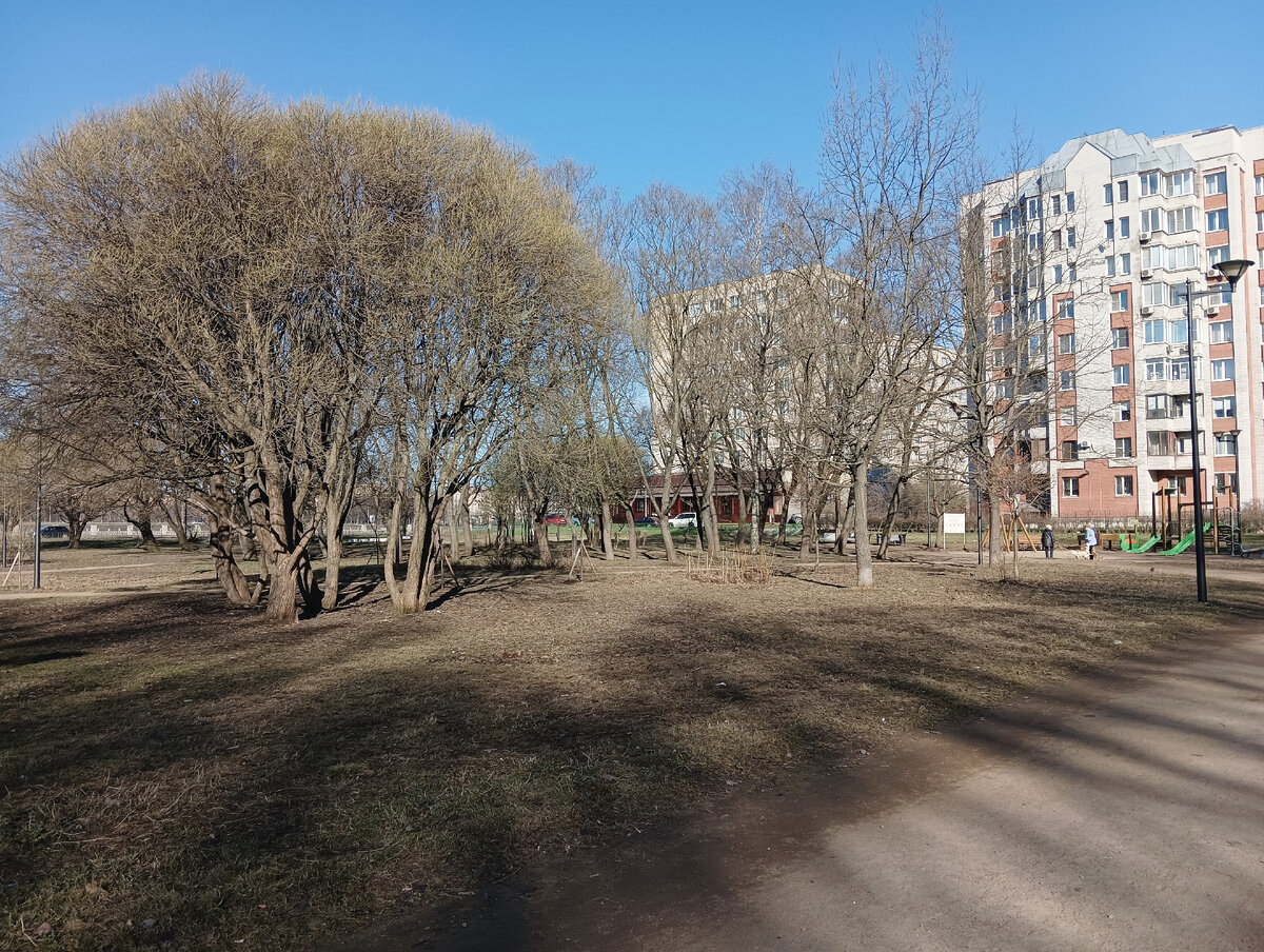 Длинные тени от солнца - признак весны. ☺