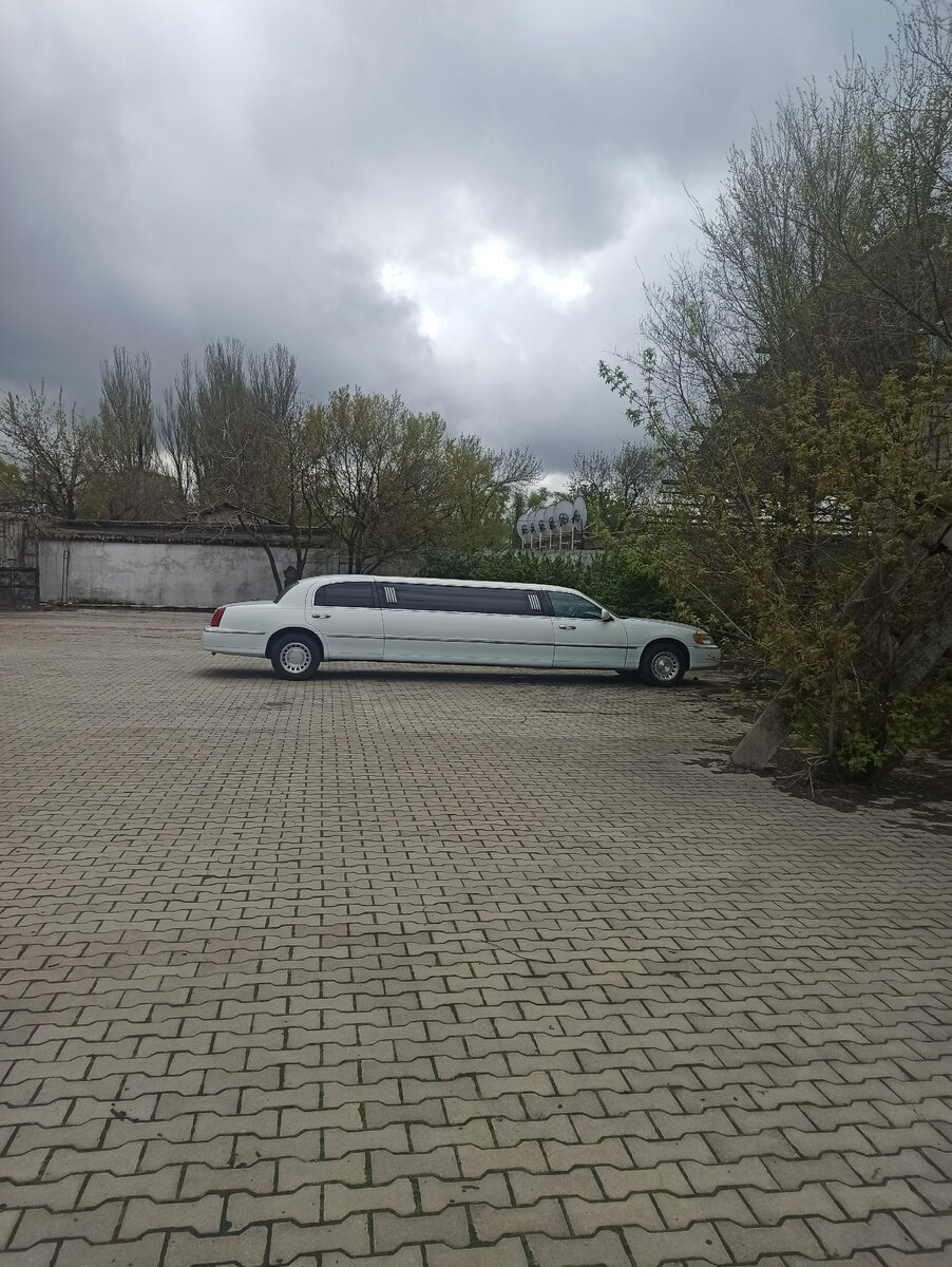 На площадке для выгула собак в приюте для животных сегодня стоял такой лимузин. "4 лапки" находятся на территории бывшего склада Донецкой Фабрики Игрушек. Соседями приюта являются ещё несколько предприятий, одно из которых занимается прокатом (арендой) лимузинов.