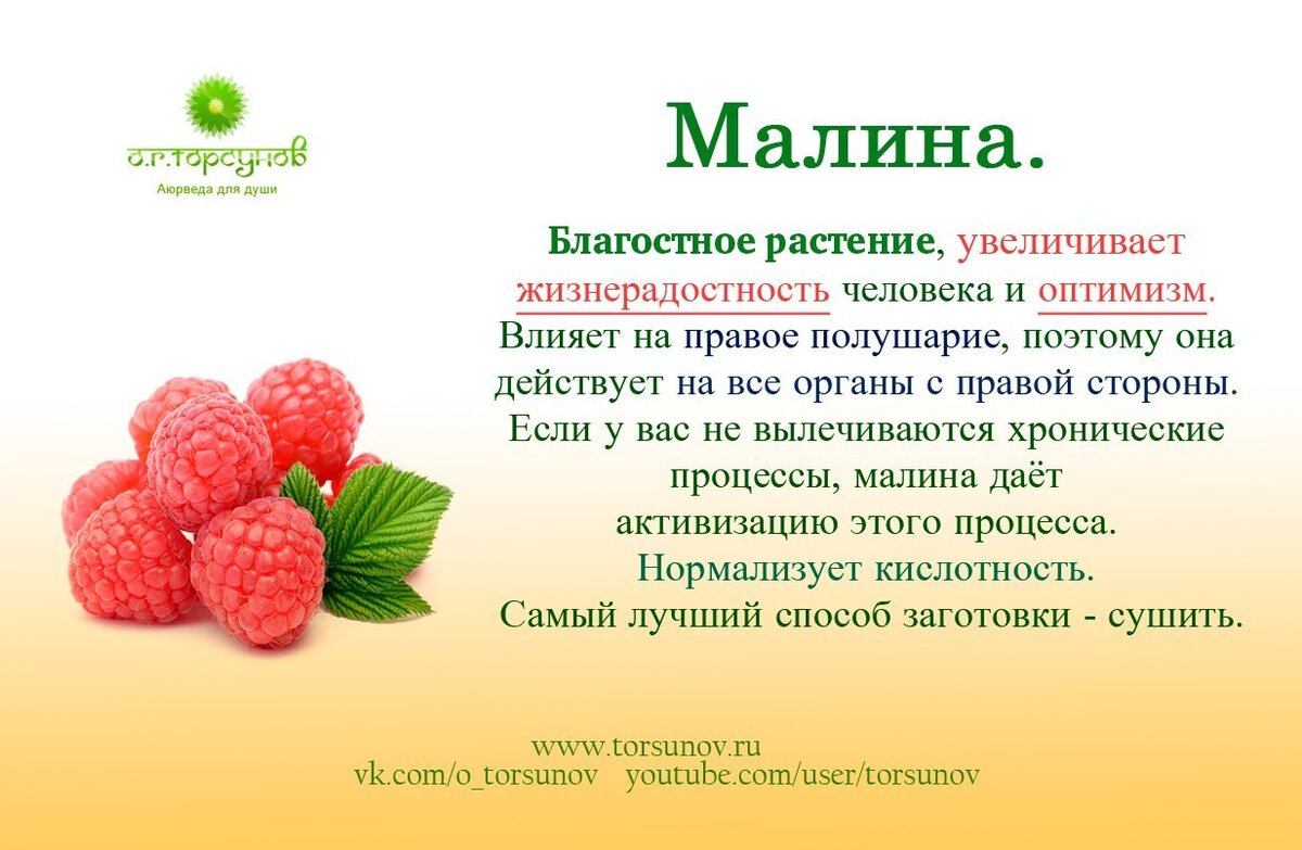 Листья малины вред