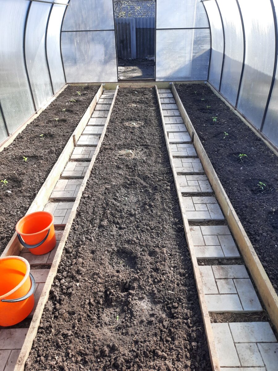 Если очень приглядеться - в центре огурцы, по краям перцы.
