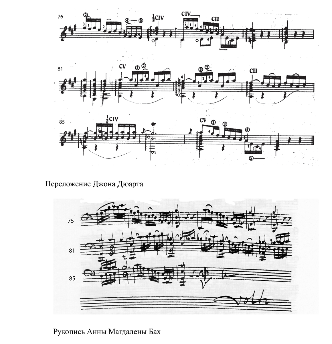 И. С. Бах. Виолончельная сюита № 3. BWV 1009. Проблема корректного  переложения на гитару | Александр Рогачев и Ко. | Дзен