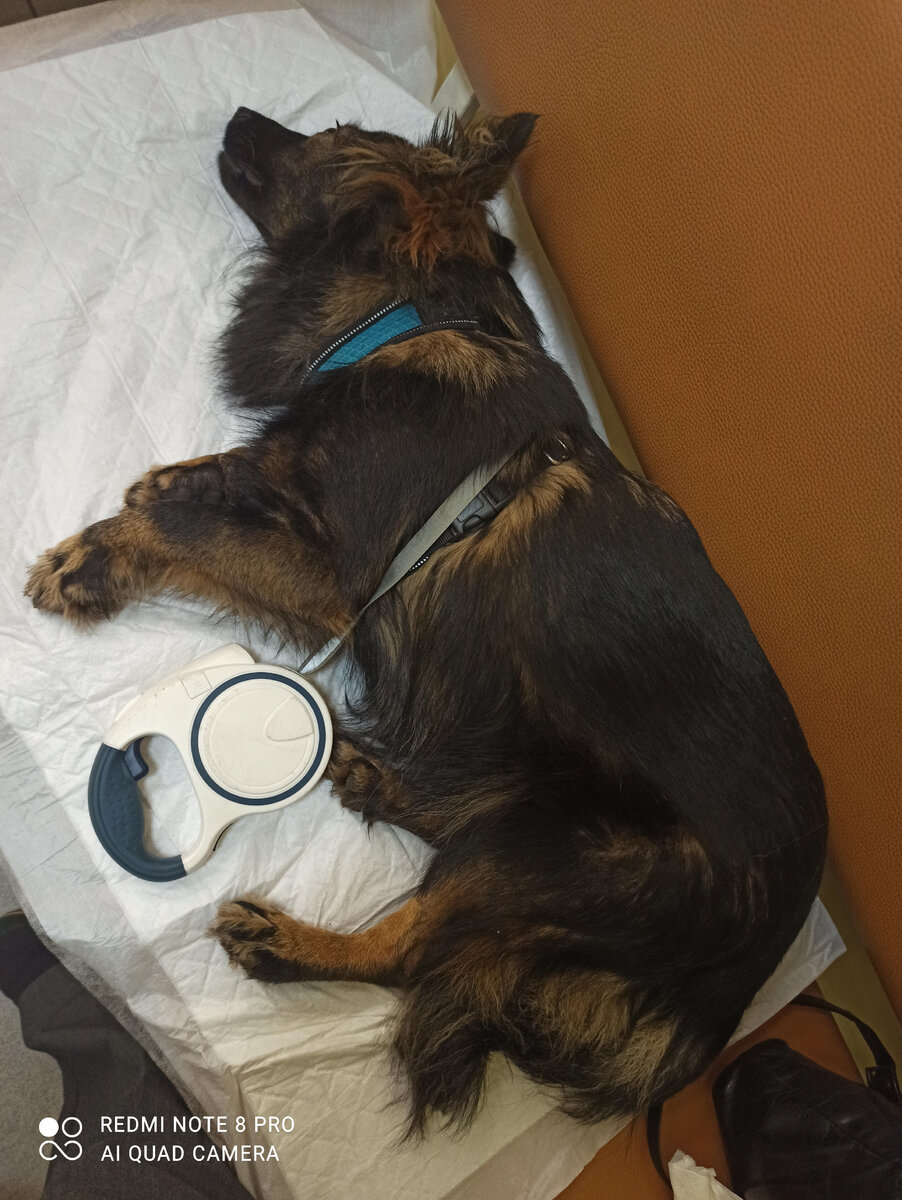 Я сплю после укола