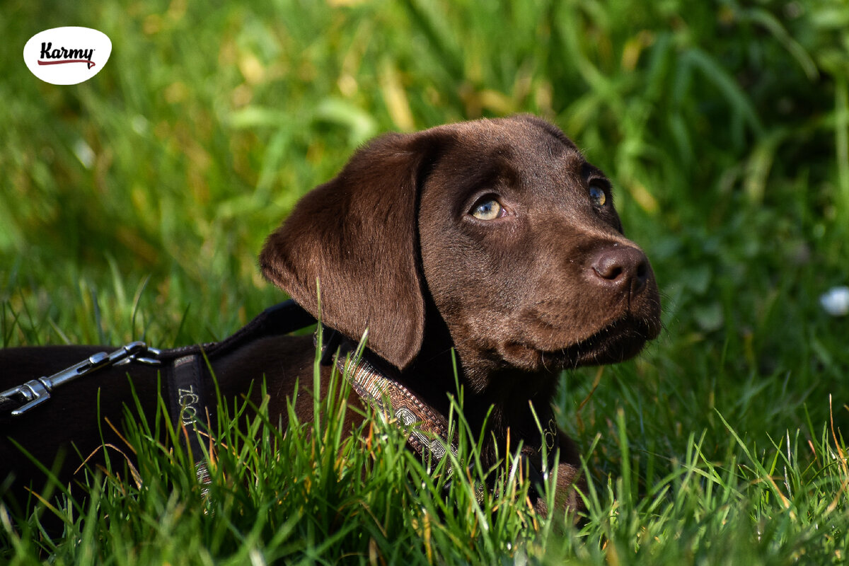 Авторское изображение с использованием картинки с фотостока "Unsplash"