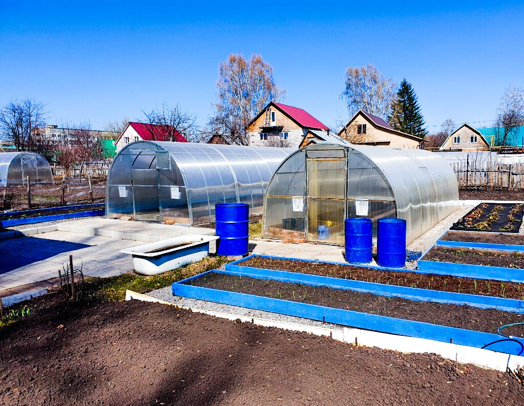 Стоят, радуют уже не один год