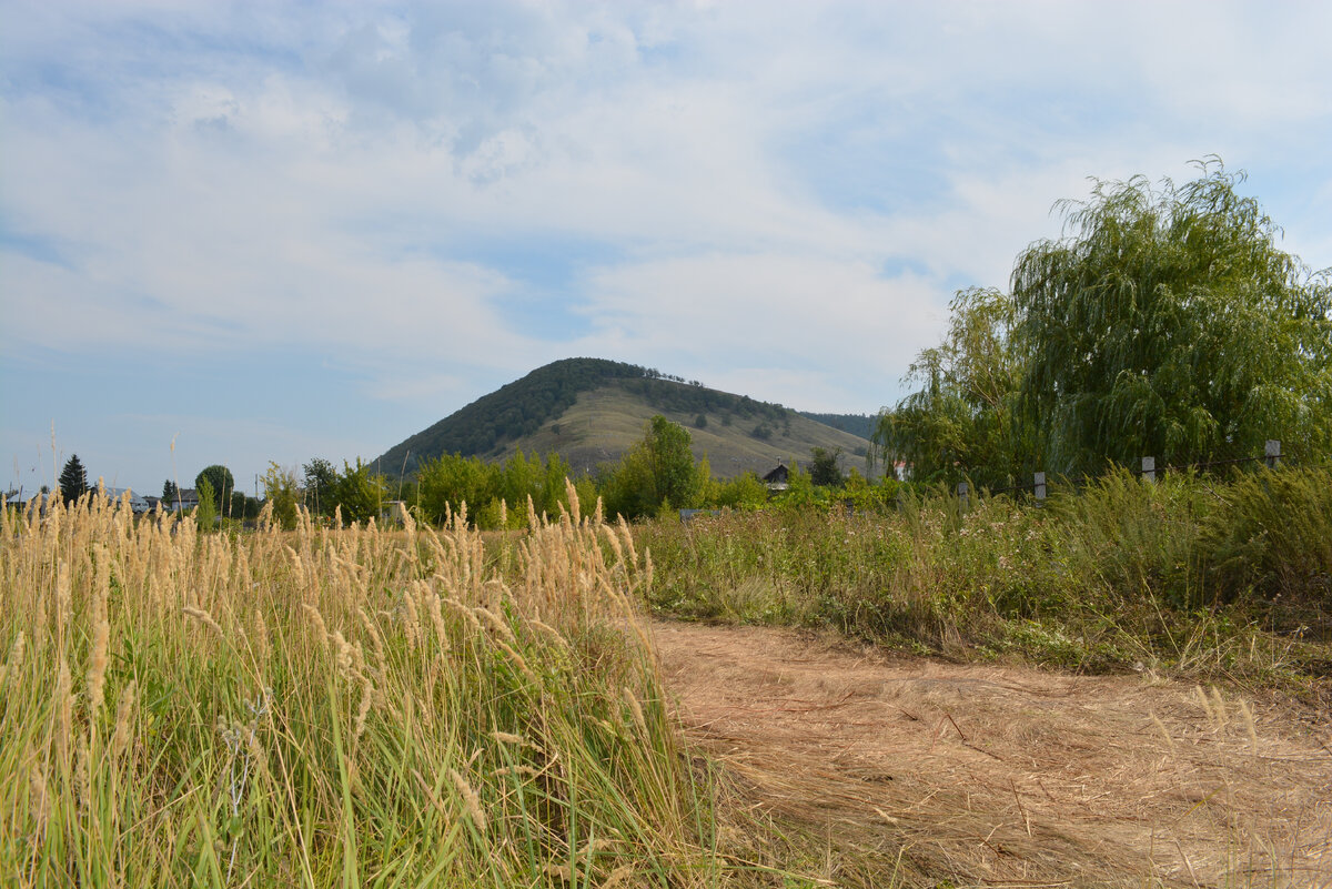 Вид на гору "Верблюд" - фото автора