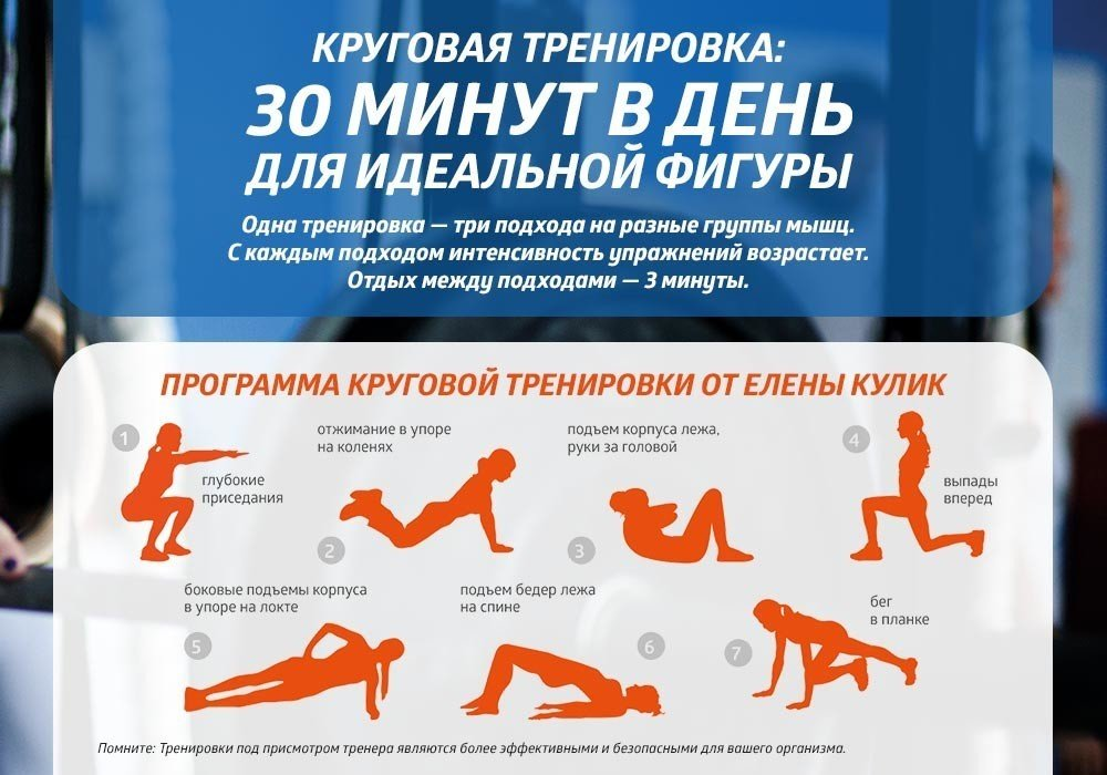 Тренировка на все. Круговая тренировка. Тренировки для сжигания жира. Круговая кардио тренировка. Тренировка на сжигание жира для женщин