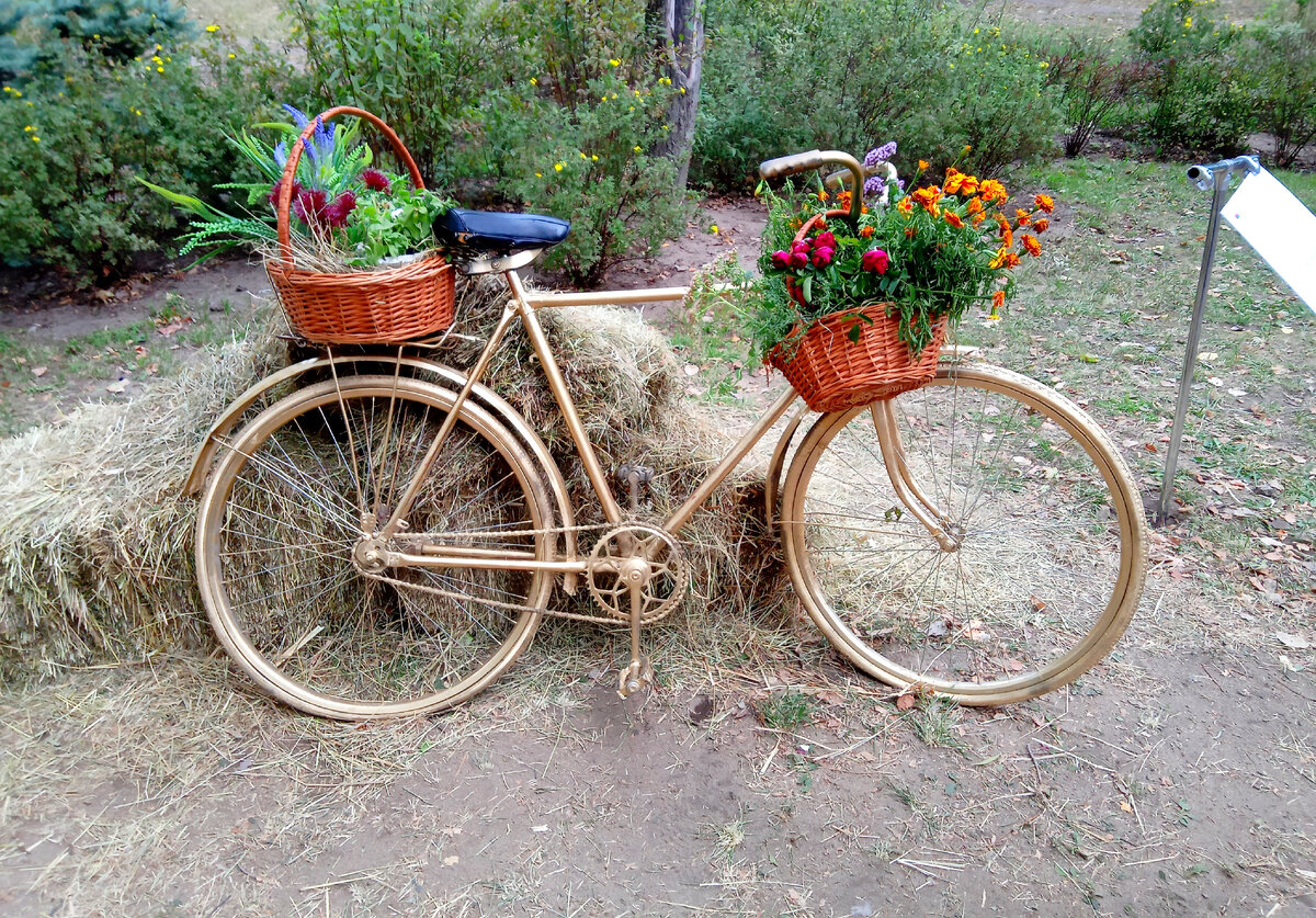 Фото из личного архива