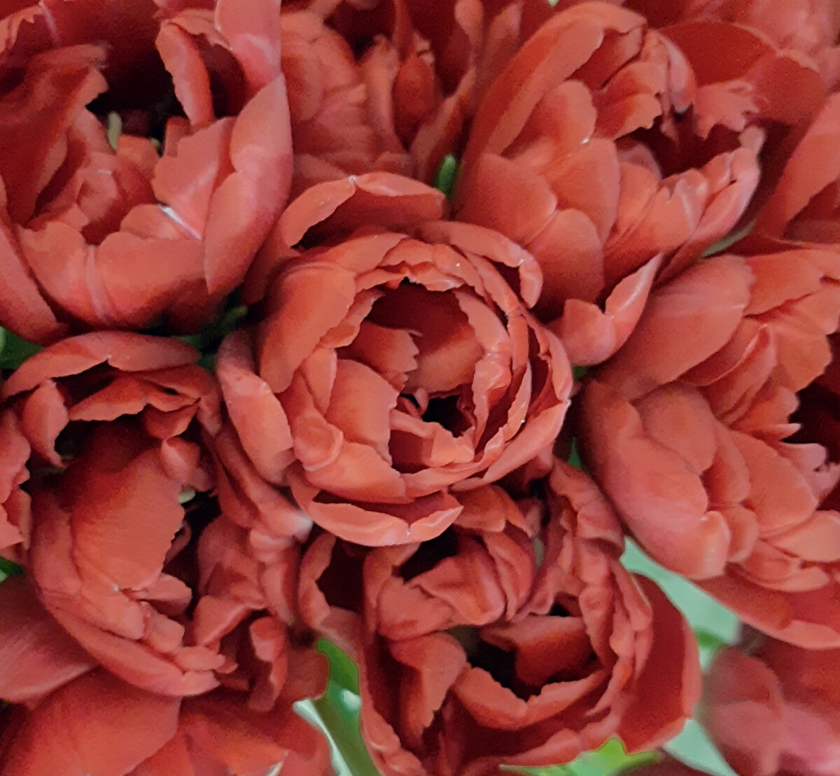 К весеннему утреннику готовы?