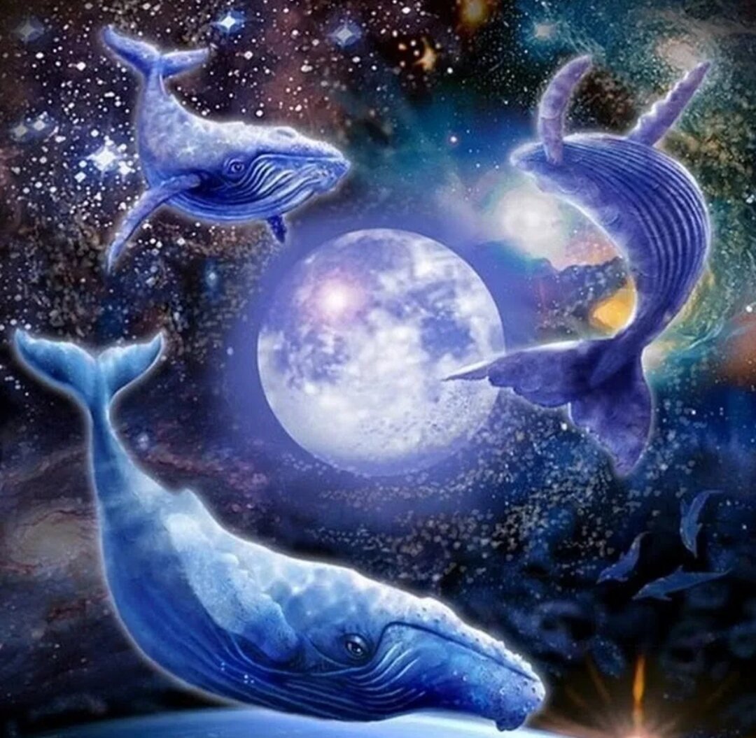 Яндекс.картинки