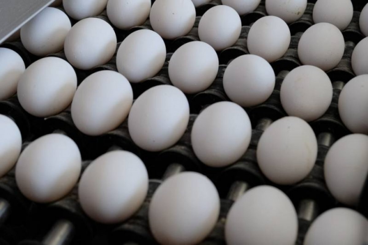    Калининградцы возмущены ценами на местные яйца