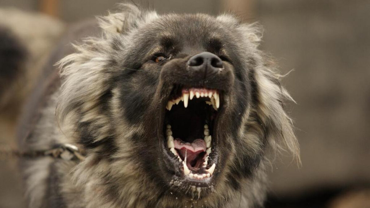 Фото для обложки, источник ru24.net