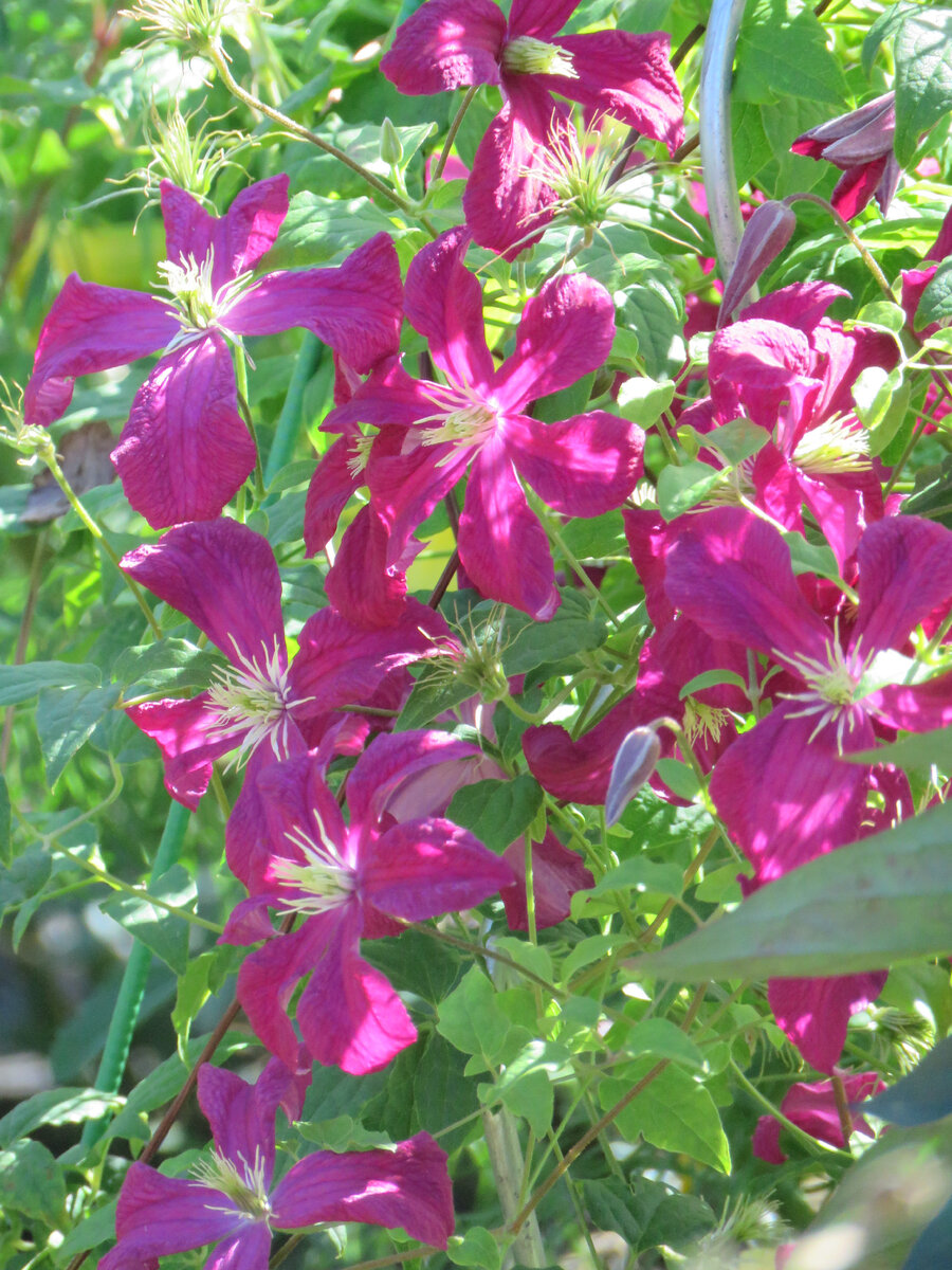 фото в гостях