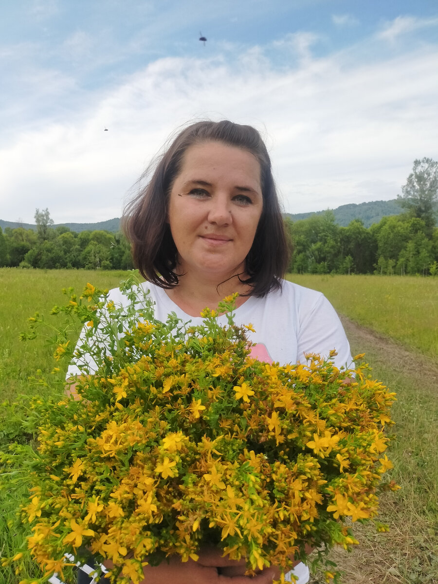 Фото от автора. Зверобой из Курагинского района.