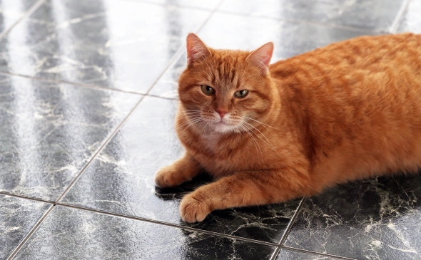 Фото: freepik.com 