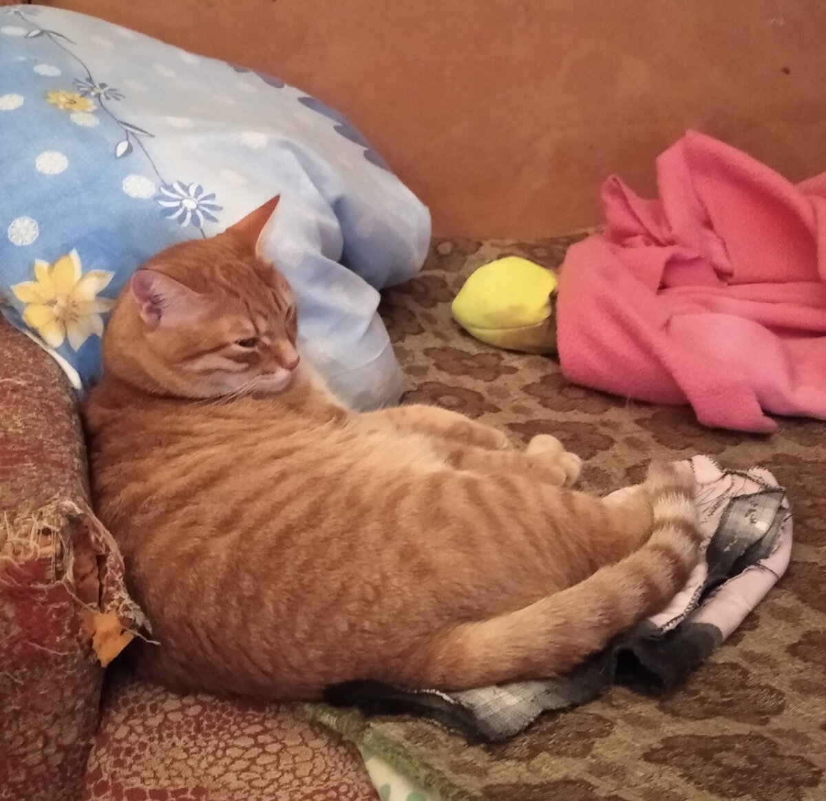 Личное фото.