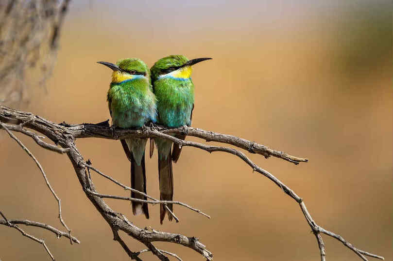     Фото: freepik