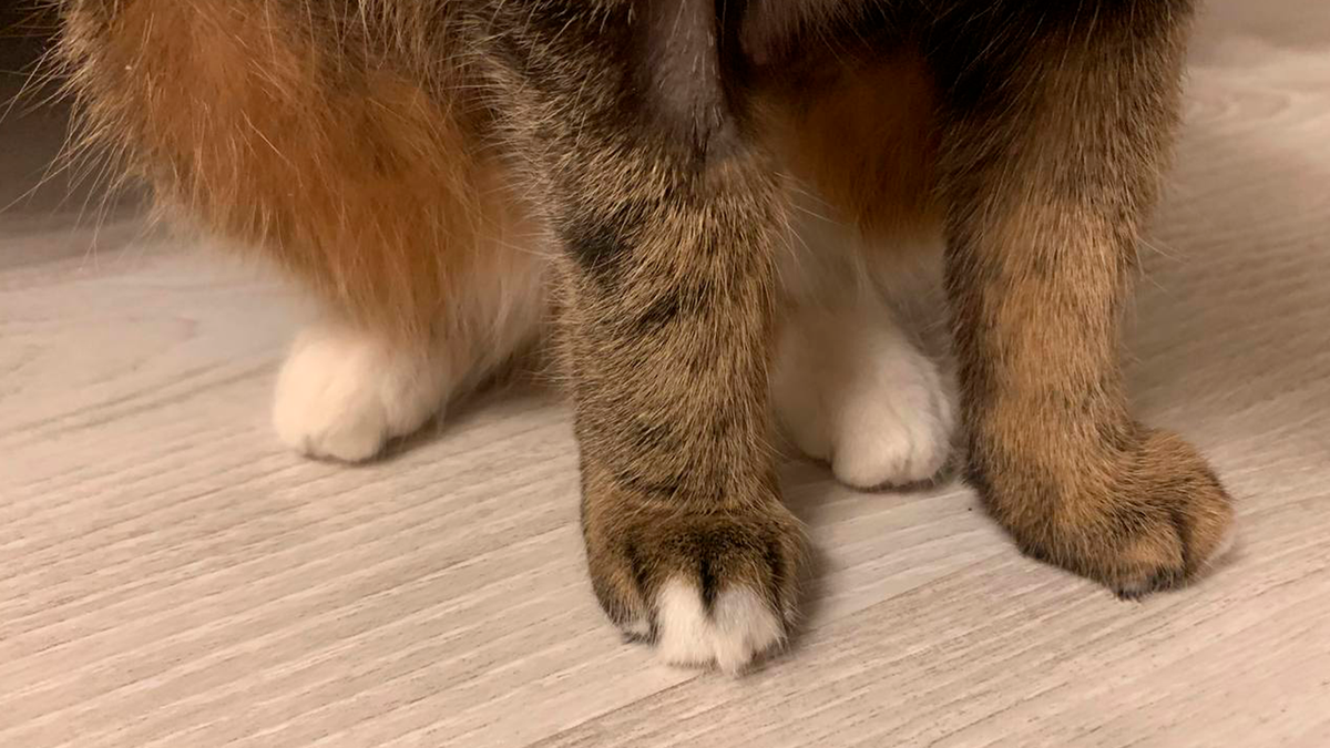 -2