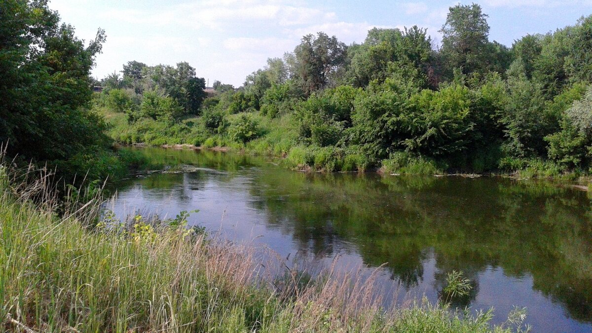    Володин высказался о важности законопроекта о водных ресурсахНовости Саратова и области – Сетевое издание «Репортер64»