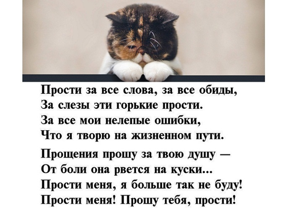 Скажи извини. Стихи с извинениями. Стих прости. Стихи чтоб не обижались. Извинения перед мамой.