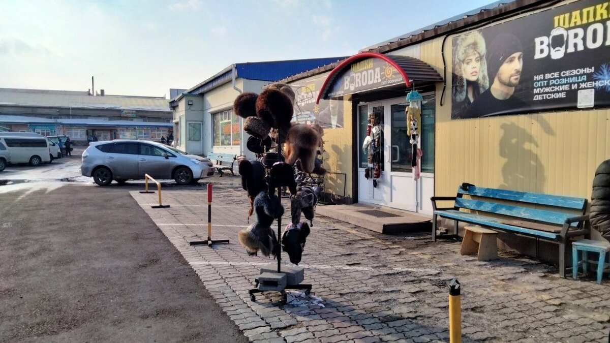 Авторы: ЕЛИЗАВЕТА ПАНФИЛОВА ДЕНИС ВОРОНИН