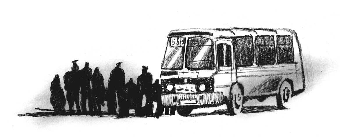 Иллюстратор: Дарья Радар 