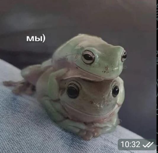 .