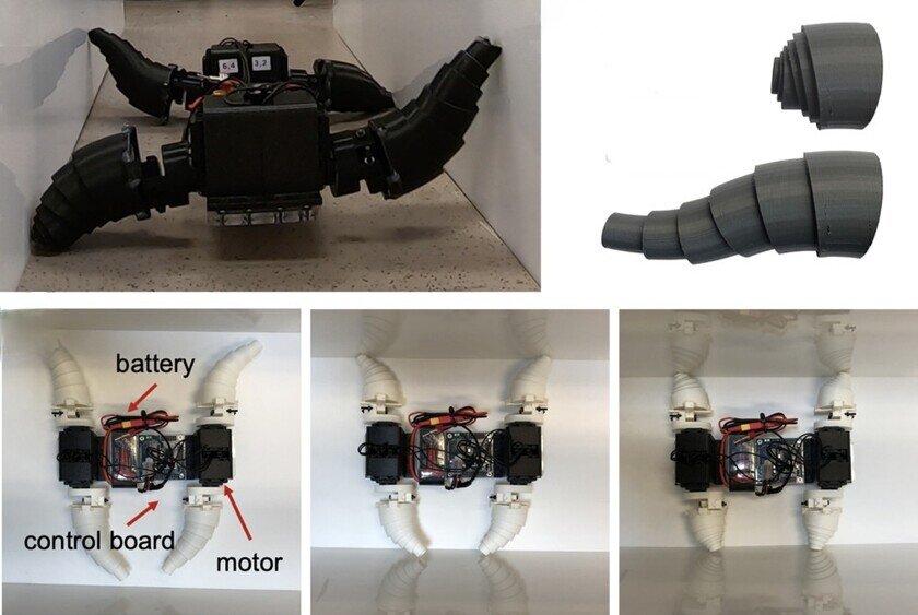    Наглядная демонстрация работы конечностей. Фото: Online Library