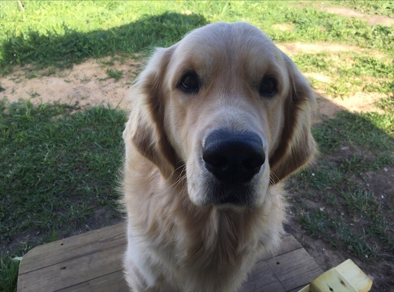 «Чем будем сытиться?»