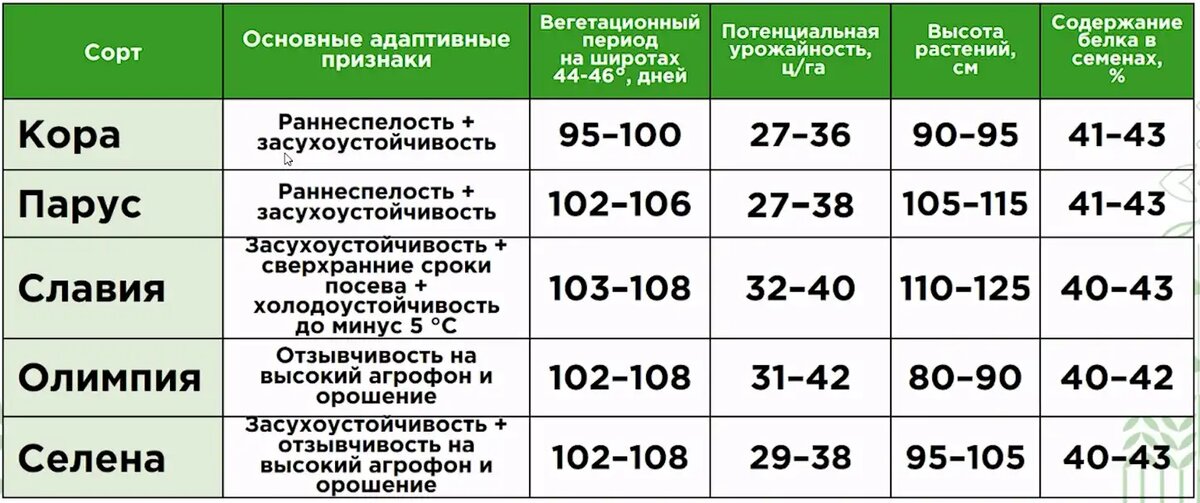 Селекция сои. Сорт сои Славия характеристика. Соя условия выращивания.