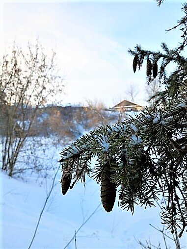 Предновогодний день. Работа О. Камловой.