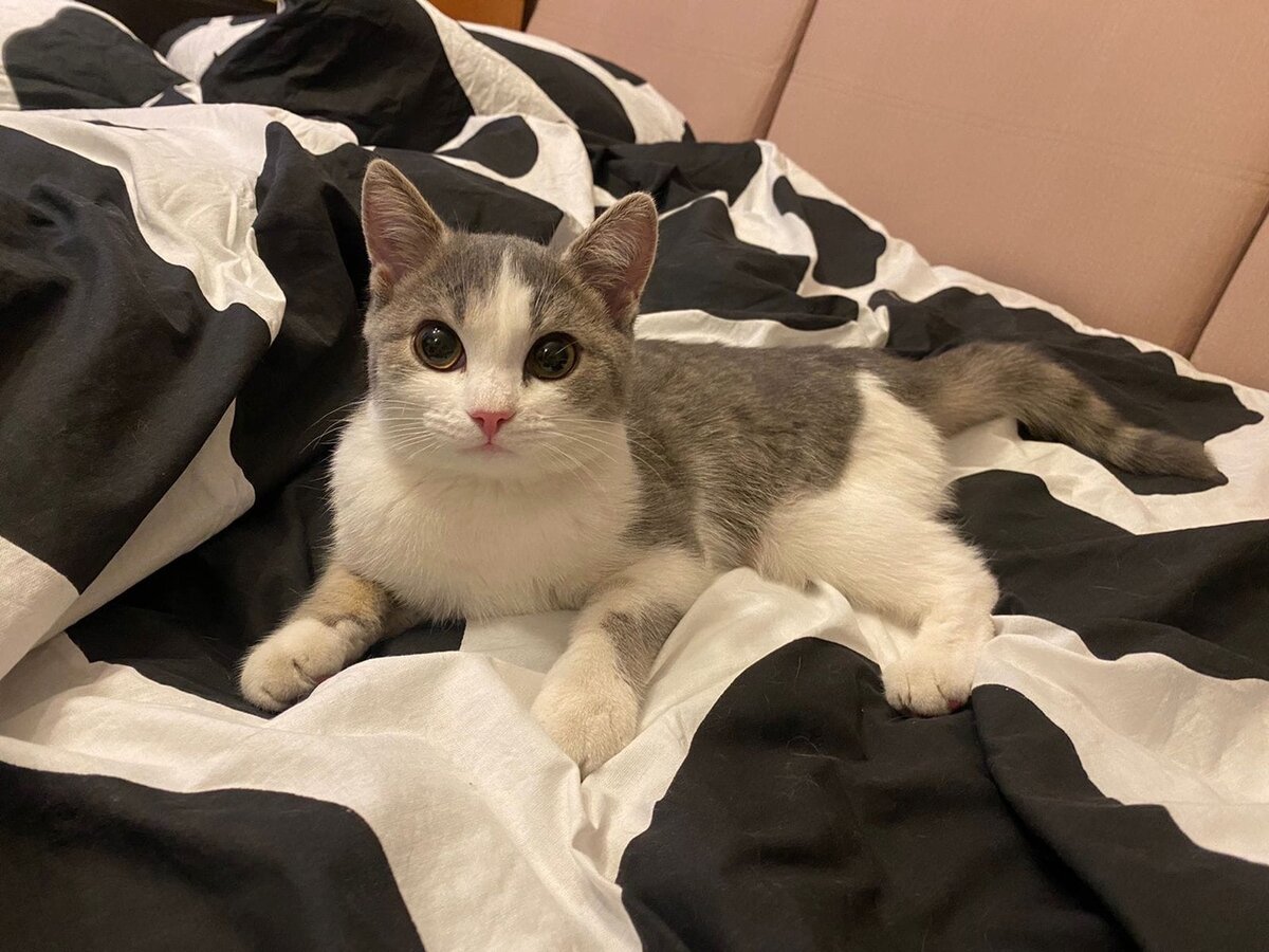 Милая симпотяжка